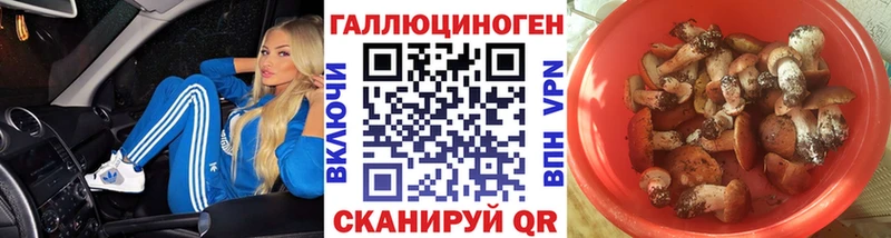 Псилоцибиновые грибы Psilocybe shop телеграм Кыштым цены